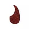 Boston AG 100 TI pickguard, łza tortoise Boston AG 100 TI pickguard, łza tortoise