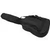 Tenson 500123-555 gitara klasyczna 4/4 classic pack