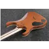Ibanez RGR5221-TFR Transparent Fluorescent Orange Prestige gitara elektryczna