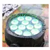 EVOLIGHTS SMOOTH PAR 12x10W RGBWA-UV LED - reflektor zewntrzny IP65