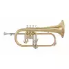 Grassi SSFLH570 flugelhorn