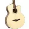 Hoefner HA-B03 gitara basowa akustyczna
