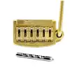 Floyd Rose Rail Tail mostek tremolo, zoty