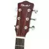 T.Burton Greengo J C TRD gitara akustyczna