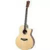 T.Burton Passage J C N gitara akustyczna T.Burton Passage J C N gitara akustyczna