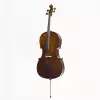 Stentor SR-1102-1/10 Student I Cello Set 1/10 - wiolonczela 1/10