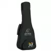 Ortega Horizon Series RUHZ30TH-DO Dolphin 30th Anniversary ukulele tenorowe