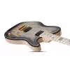 Schecter 869 Signature Meegs PT EX Charcoal Burst gitara elektryczna
