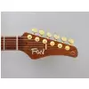 FGN Expert Iliad EW Vintage Natural gitara elektryczna