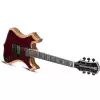 Schecter 4537 Wylde Audio Nomad Cocobolo gitara elektryczna