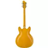 Hagstrom Super Viking Dandy Dandelion Flame gitara elektryczna