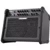 Fishman Loudbox 100 wzmacniacz gitarowy