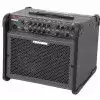 Fishman Loudbox 100 wzmacniacz gitarowy