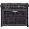 Fishman Loudbox 100 wzmacniacz gitarowy