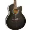 Ibanez AEL 20 E TK gitara elektroakustyczna