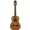 Hoefner HC504 Solid Cedar Top gitara klasyczna 1/2