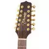 Takamine EG345C gitara elektroakustyczna dwunastostrunowa