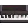 Roland RP 201 RW pianino cyfrowe palisander