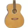 Tanglewood TF EA gitara elektroakustyczna