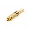 Klotz RCAMG-7SW wtyk RCA cinch (czarny) Klotz RCAMG-7SW wtyk RCA cinch (czarny)
