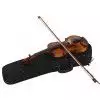 Paesold AS-160V 4/4 skrzypce (komplet) Paesold AS-160V 4/4 skrzypce (komplet)