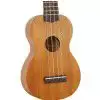 Richwood UK 180 ukulele sopranowe