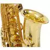 Selmer Paris Serie III GP saksofon altowy z futeraem i ustnikiem