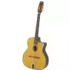 Richwood RM 150 NT gitara jazzowa Hot Club lite drewno wierk