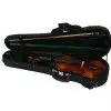 Paesold AS-160V 4/4 skrzypce (komplet) Paesold AS-160V 4/4 skrzypce (komplet)