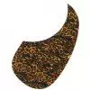 Boston AG 100 RBP pickguard, za tiger brown pearl