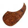 Boston AG 100 TBP pickguard, za tortoise brown pearl