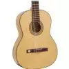 Gewa Pro Arte 500035 gitara klasyczna 4/4