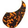 Boston AG 100 WCO pickguard, wild cat orange