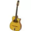 Richwood RM 140 NT gitara jazzowa / cygaska Hot Club