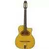 Richwood RM 140 NT gitara jazzowa / cygaska Hot Club