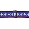 Planet Waves 50PLA10 Stars and Stripes pasek gitarowy Planet Lock Planet Waves 50PLA10 Stars and Stripes pasek gitarowy Planet Lock