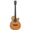 Ibanez AEG15E LG gitara elektroakustyczna