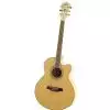 Ibanez AEL 20 E NT gitara elektroakustyczna