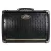 Peavey Ecoustic E208 wzmacniacz do instrument�w akustycznych