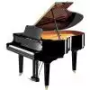 Yamaha GC2 PE Baby Grand fortepian (173 cm)