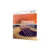 D′Addario EJ42 struny do gitary rezofonicznej Phosphor Bronze 16-56