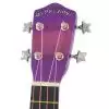 Gypsy Rose GRU 1K CPP ukulele pack, kolor purpurowy