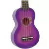 Gypsy Rose GRU 1K CPP ukulele pack, kolor purpurowy