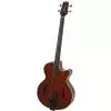 Takamine TB10 SA CTP-2 gitara basowa fretless