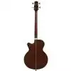 Takamine TB10 SA CTP-2 gitara basowa fretless