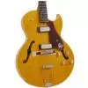 Epiphone Sorrento 1962 anniversary NA gitara elektryczna