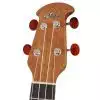 Applause UA20-5E ukulele