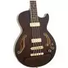 Ibanez AGB 200 TBR gitara basowa Ibanez AGB 200 TBR gitara basowa
