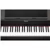 Roland RP 301R SB pianino cyfrowe z rytmami, czarne