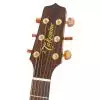 Takamine Series P3DC DRD gitara elektroakustyczna z futreraem